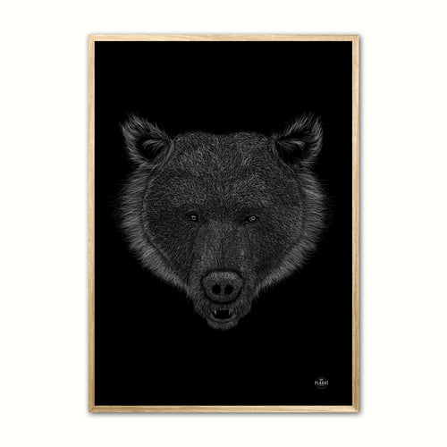 Bjørn - Scribble plakat