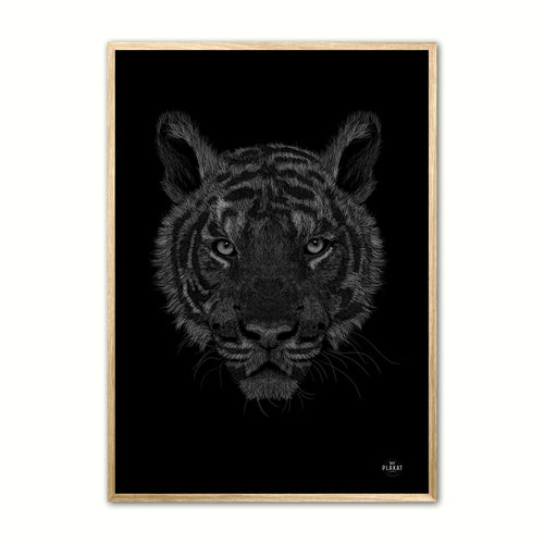 Bengalsk Tiger - Scribble plakat