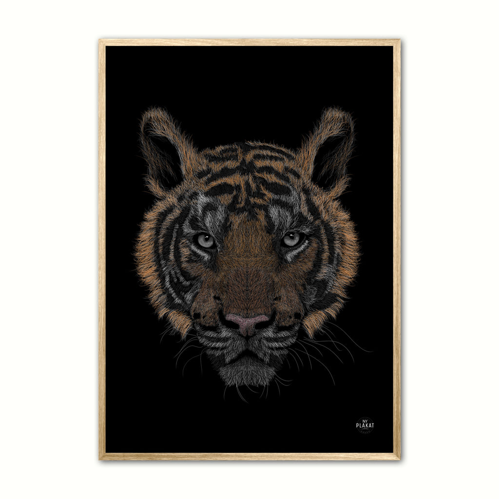 Bengalsk Tiger i farver plakat