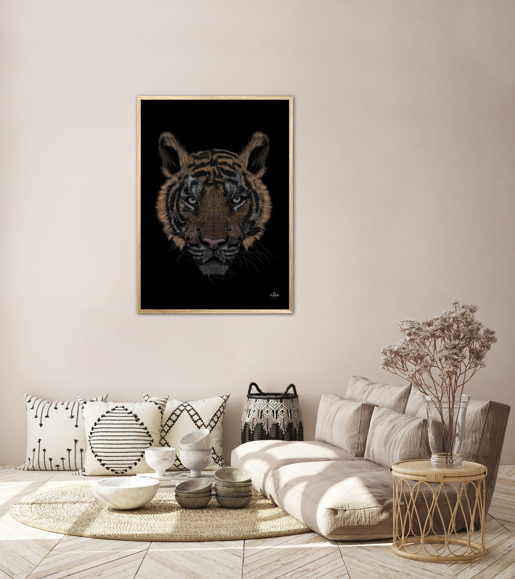 Bengalsk Tiger i farver plakat