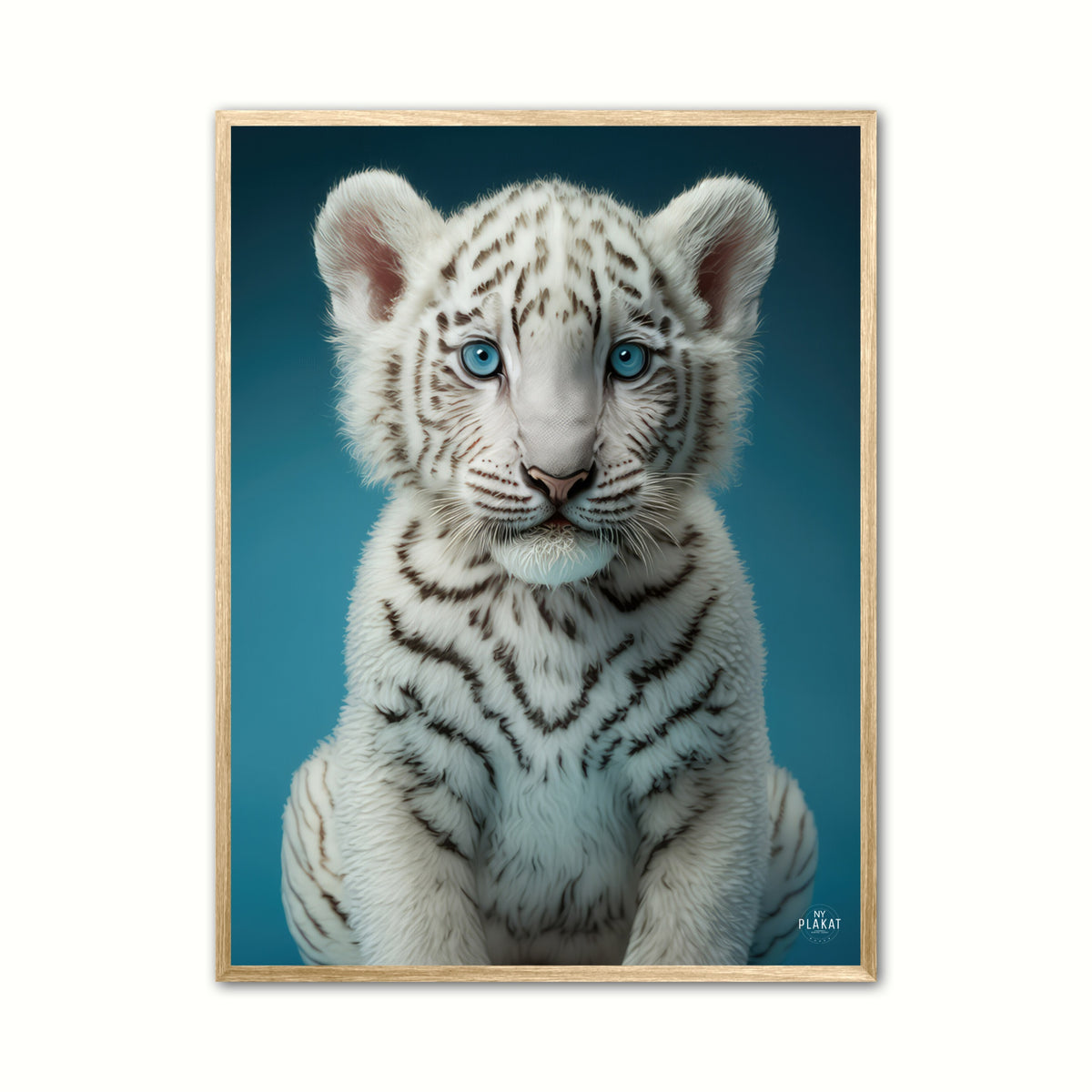 Albino Bengalsk Tiger plakat - Blå