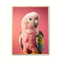 Papegøje plakat - Pink 2