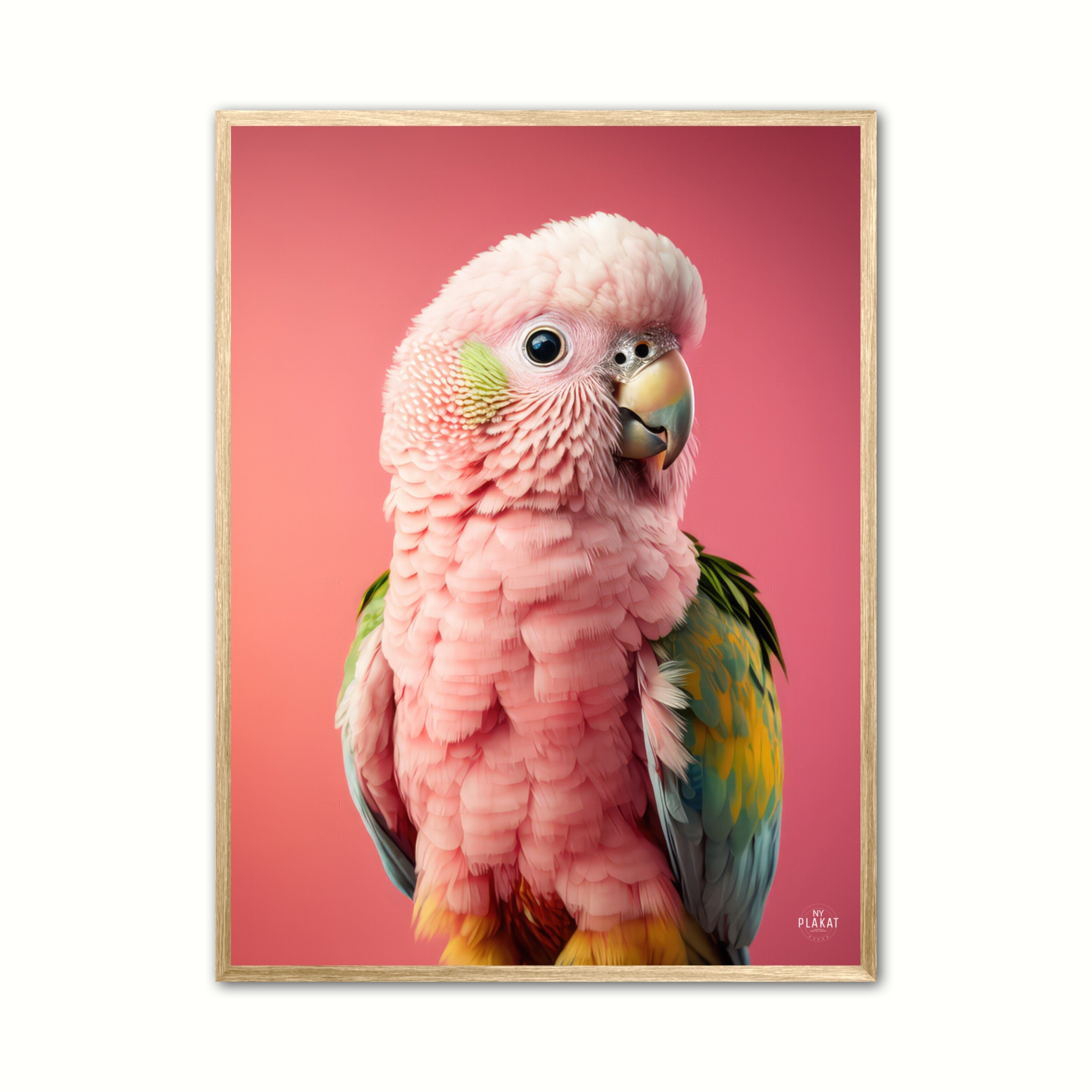 Papegøje plakat - Pink 2
