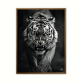 Tiger plakat 4 - Wild Life