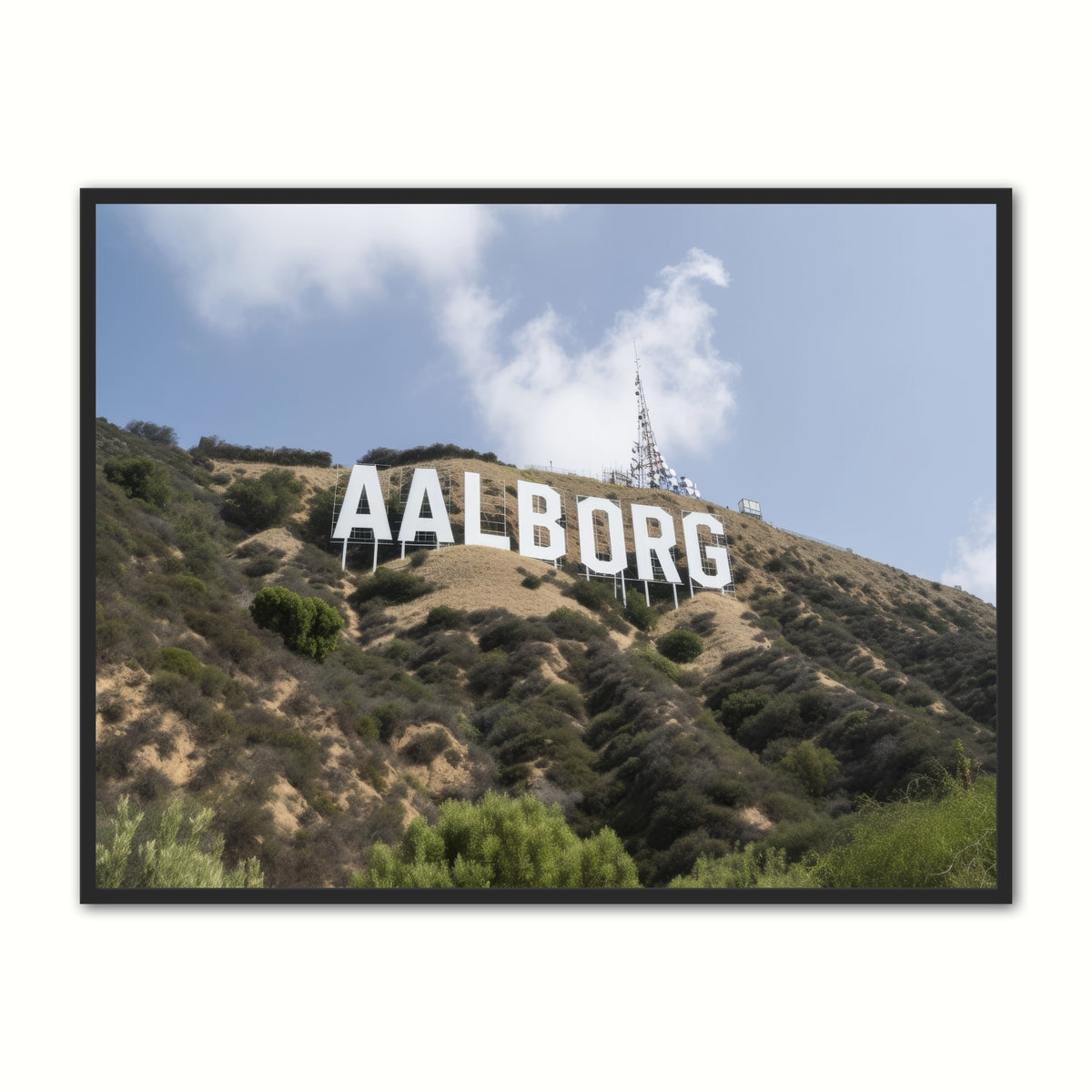 Aalborg Byplakat 1