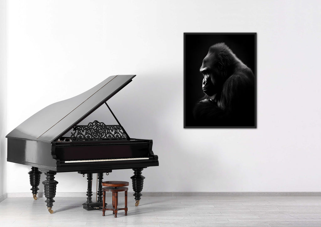 Gorilla Plakat 9
