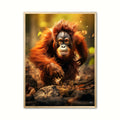 Orangutang Plakat 1 - Børneplakat
