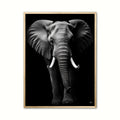 Elefant Plakat 1