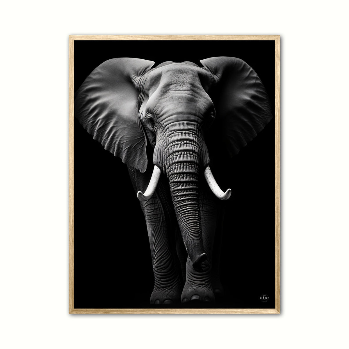 Elefant Plakat 1