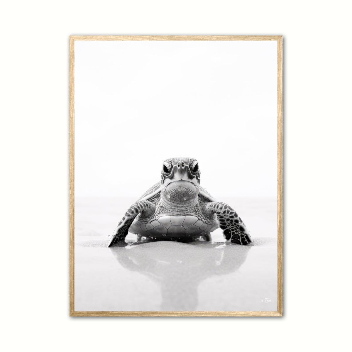 Skildpadde Plakat 2