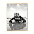 Skildpadde Plakat 3