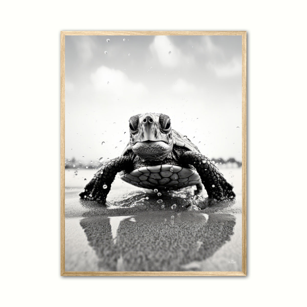 Skildpadde Plakat 3