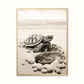 Skildpadde Plakat 6