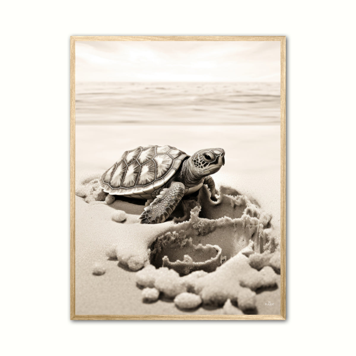 Skildpadde Plakat 6