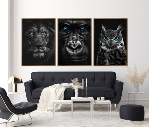 Blue Eyes - Plakatsæt