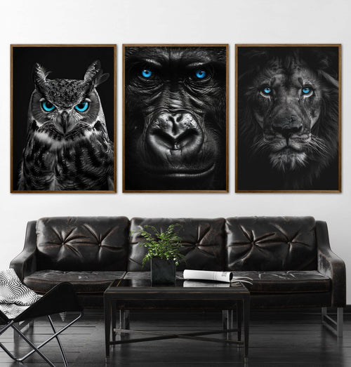 Blue Eyes - Plakatsæt
