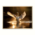 Svane Plakat 7